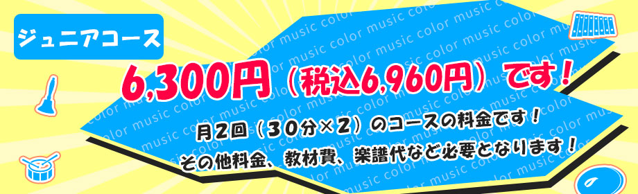 レッスン料金：月2回6300円+税